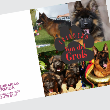 Vacunatorio veterinaria